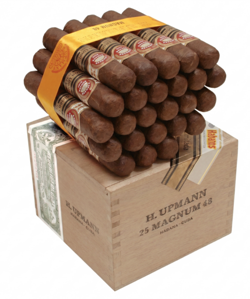 H Upmann Magnum 48 LE 2009