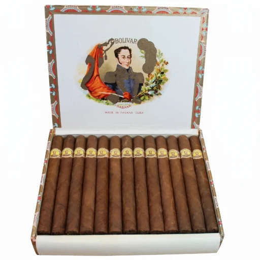 Bolivar Coronas Gigantes