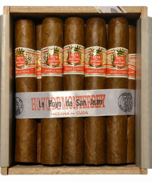 Hoyo de Monterrey Corona