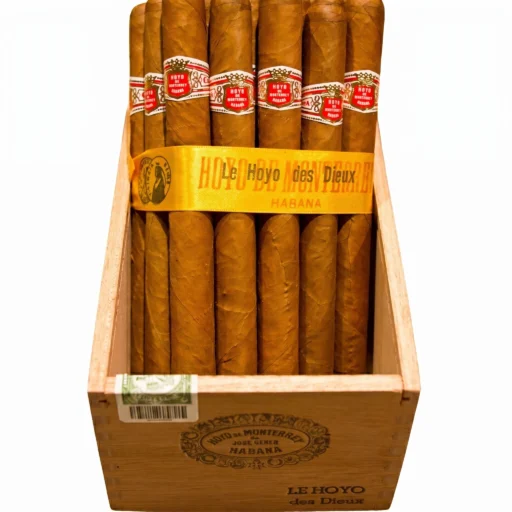 Hoyo De Monterrey Des Dieux