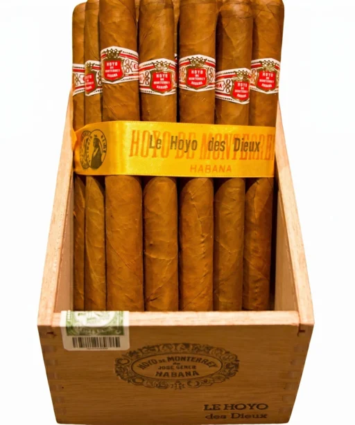 Hoyo De Monterrey Des Dieux