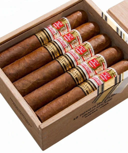 Hoyo de Monterrey Grand Epicure 2013 LE
