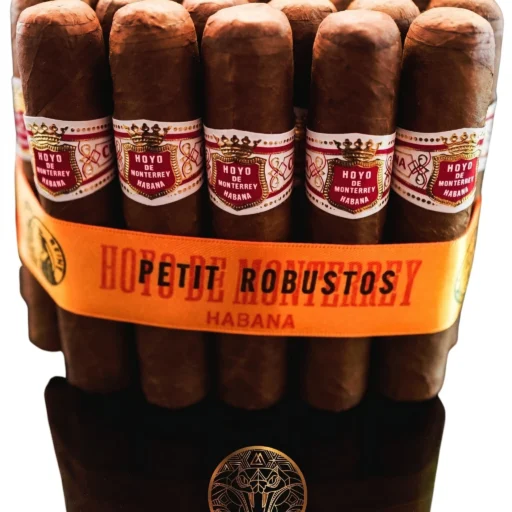 Hoyo de Monterrey Petit Robustos
