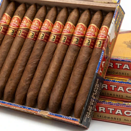 Humidor Partagas Salomon Casa del Habano