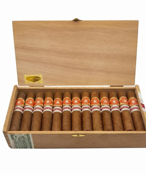 Punch Robusto Suisse Edition