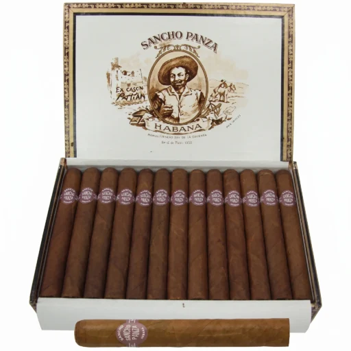 Sancho Panza Non Plus
