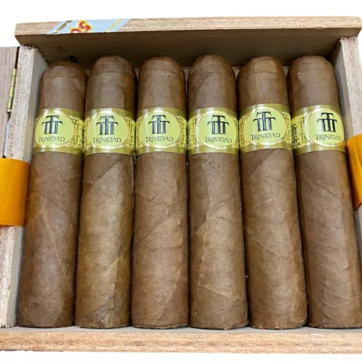 Trinidad Vigia