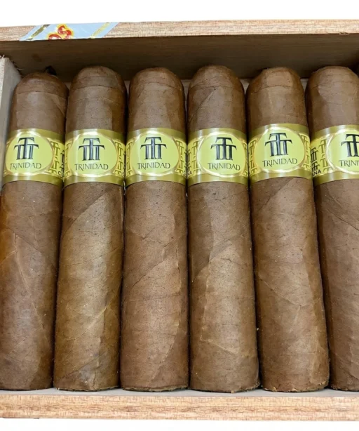 Trinidad Vigia