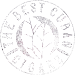 cohiba cigars behike thebestcubancigars