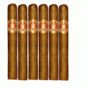 Cuban Cigars
