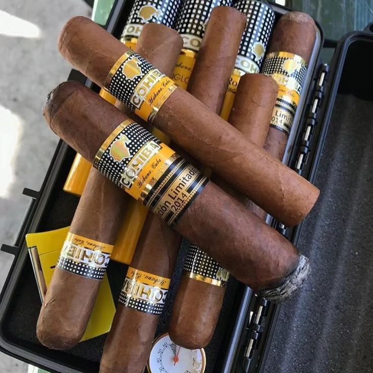 Customer enjoying authentic Cuban cigars