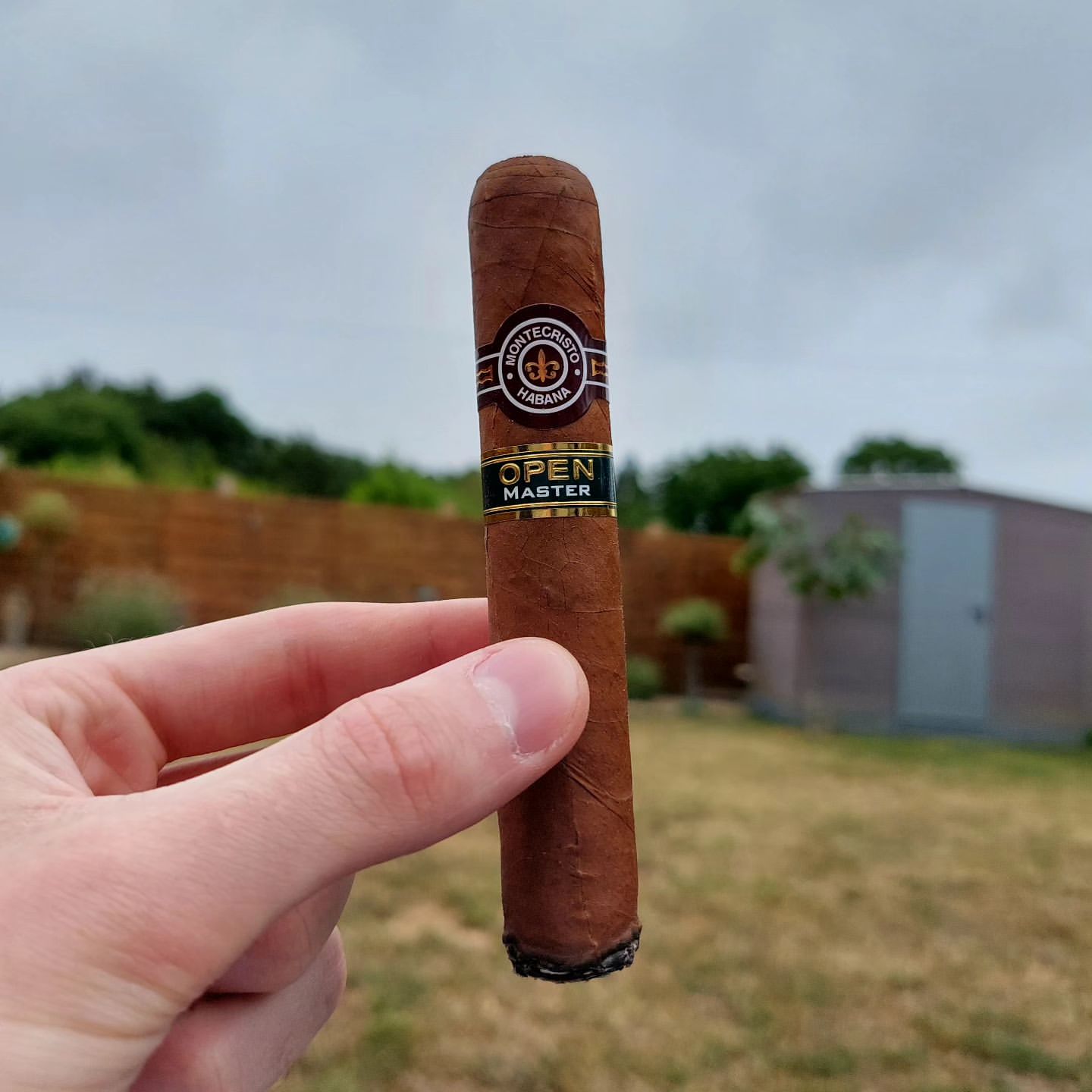 Perfect for Outdoor Smoking – Hoyo de Monterrey Cigars